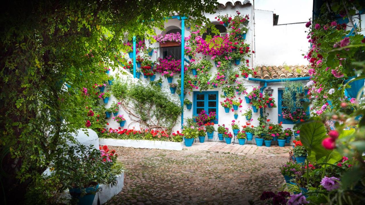 Apartamento Anita'S Place Cordoba Dış mekan fotoğraf